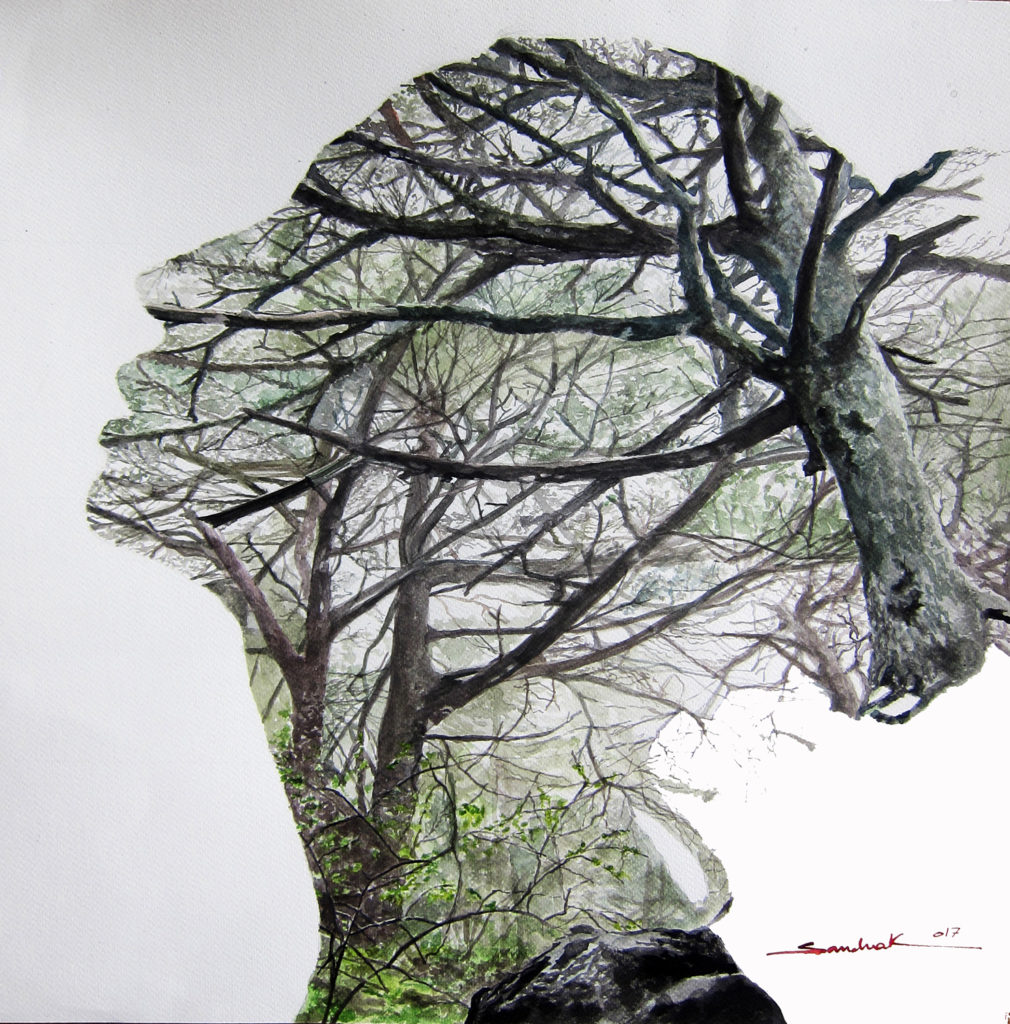 The Cedar In Her Mind 
 |  Watercolor  |  50x50cm